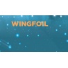 Wingfoil