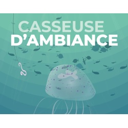 Casseuse d'ambiance